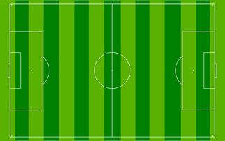 开云体育app-国足主场比赛战术布置与得分模型关联，国足阵容战术