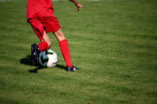 开云电竞app-篮球运动员专项技能训练课程体系创新探索，篮球专项训练方案